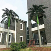 Bar Decoration Outdoor Artificial Coconut Tree