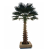 Building Decoration Outdoor Artificial Palm Tree