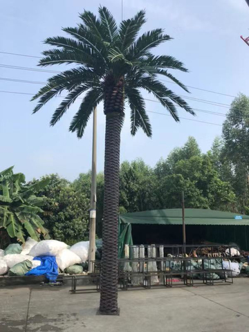 Saudi Arabia Mall Decoration Artificial Date Palm Tree