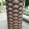 Real estate decoration Outdoor Artificial Date Palm Tree