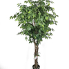 Australia Home Decoration Artificial Ficus Tree