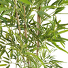 UK Building Decoration INDOOR Atficial Bamboo Tree 