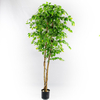 Amazon Hot Sale Gardon Decoration Artificial Ficus Tree