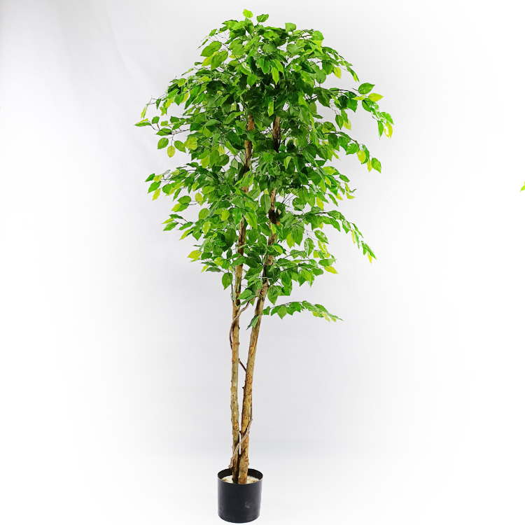 Amazon Hot Sale Gardon Decoration Artificial Ficus Tree