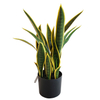 Canada Gardon Decoration Indoor Artificial Agave