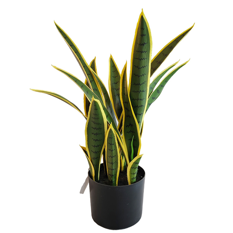 Canada Gardon Decoration Indoor Artificial Agave