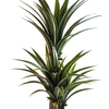 Bar Decoration Indoor Artificial Agave