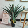 Building Decoration Indoor Artificial Agave
