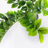 Building Decoration Indoor Artificial Money Tree