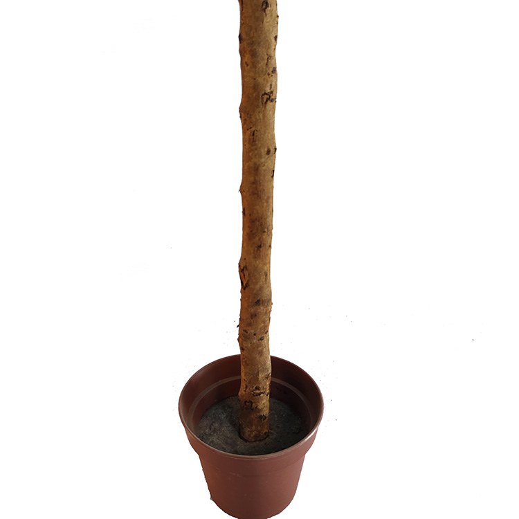 Gardon Decoration Indoor Artificial Laurel Tree
