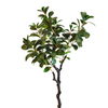 UK Office Decoration Indoor Artificial Watercress Leaf Tree 