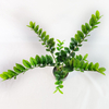 Home Decoration Indoor Artificial Money Tree