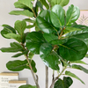 Singapore Building decoration Artificial Fiddle Leaf Fig Tree