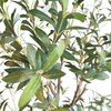 India Hotel Decoration Indoor Artificial Olive Tree