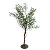 Australia Gardon Decoration Indoor Artificial Olive Tree