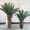 Philippines Bar Decoration Artificial Sago Cycas