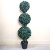 Bar Decoration Indoor Artificial Boxwood Tree
