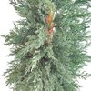 Leyland Indoor Mall Decoration Artificial Cypress Plants