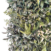 Clubhouse Decoration Fireproof And UV Artificial Green Wall 