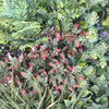 Real Estate Decoration Fireproof And UV Artificial Green Wall 