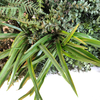 India Fireproof And UV Artificial Green Wall 