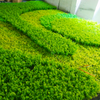 Office Decoration Indoor Artificial Plant Wall