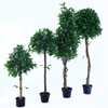 Hotel Decoration Indoor Artificial Laurel Tree