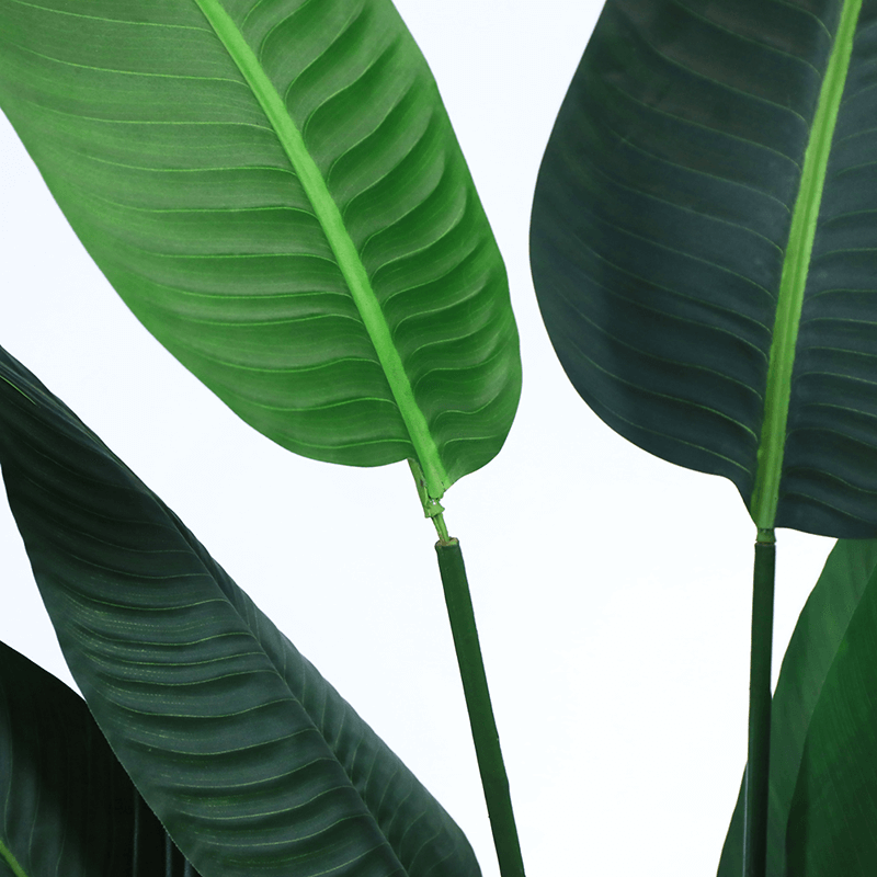 Hotel Decoration Indoor Artificial Strelitziaceae