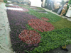 China Real Estate Decoration Outdoor Artificial Green Wall