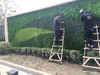 China Real Estate Decoration Outdoor Artificial Green Wall
