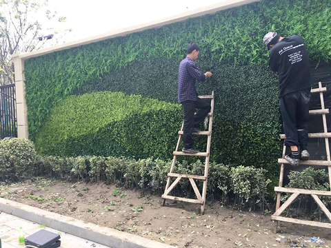 China Real Estate Decoration Outdoor Artificial Green Wall