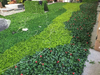 New Gardon Decoration Outdoor Artificial Green Wall 