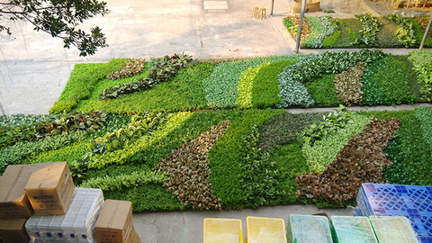 Ireland Mall Decoration Indoor Artificial Green Wall