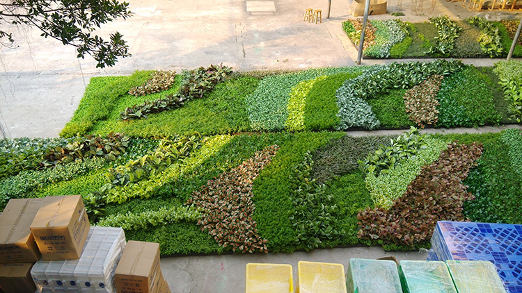 Ireland Mall Decoration Indoor Artificial Green Wall