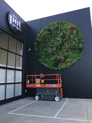 Australia Indoor Building Decoration Artificial Green Wall