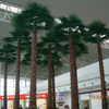 Building Decoration Outdoor Artificial Palm Tree