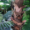 Mall Decoration Outdoor Artificial Palm Tree 