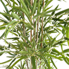 India Bar Decoration Atficial Bamboo Tree 