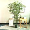 Real Estate Decoration Indoor Atficial Bamboo Tree 