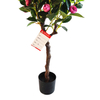 Gardon Decoration Indoor Artificial Camellia Tree