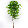 Amazon Hot Sale Gardon Decoration Artificial Ficus Tree