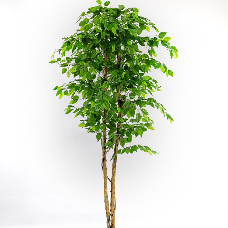 Amazon Hot Sale Gardon Decoration Artificial Ficus Tree