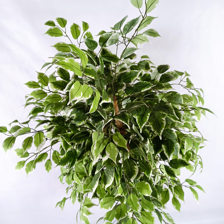Office Decoration Indoor Artificial Ficus Tree