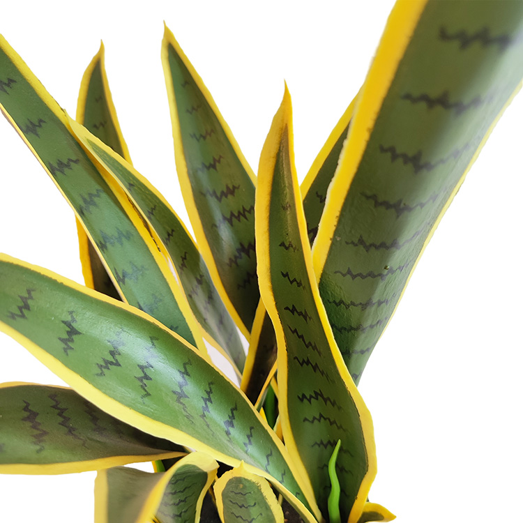 Canada Gardon Decoration Indoor Artificial Agave