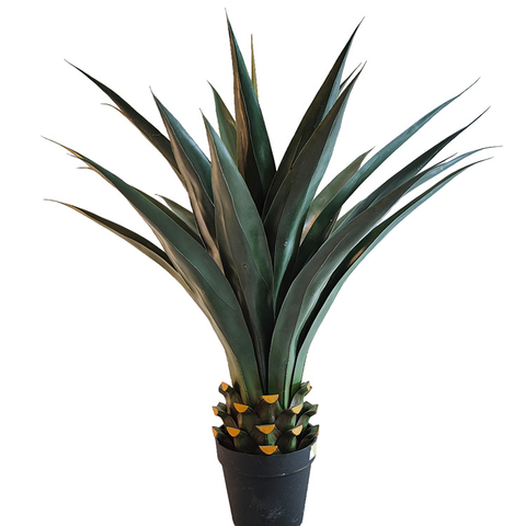 Building Decoration Indoor Artificial Agave