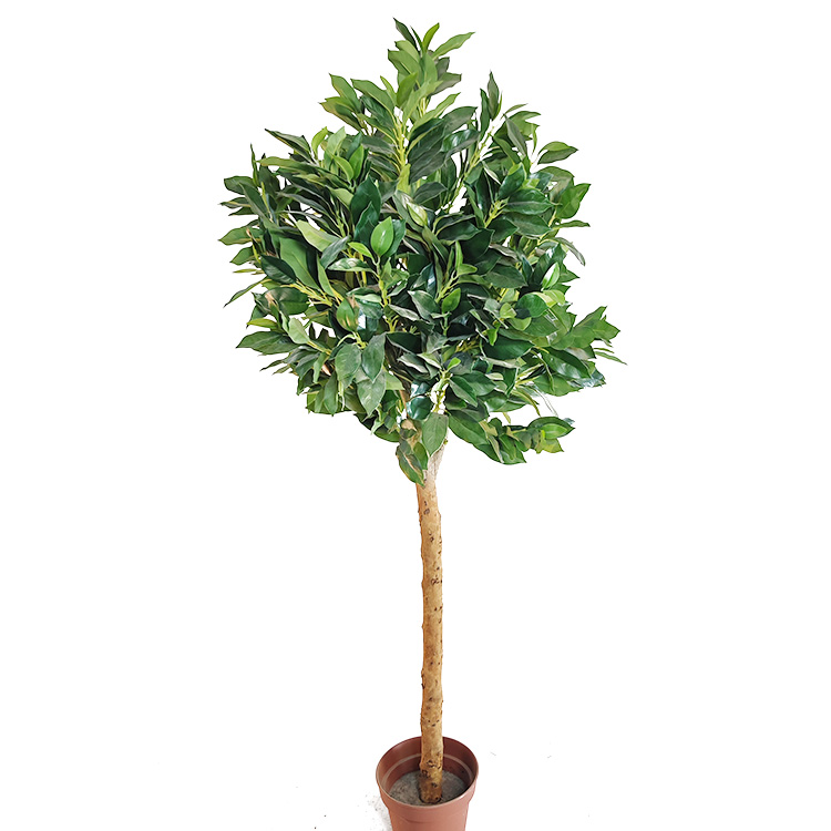 Gardon Decoration Indoor Artificial Laurel Tree