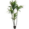 Thailand Hotel decoration indoor artificial Dracaena fragrans 