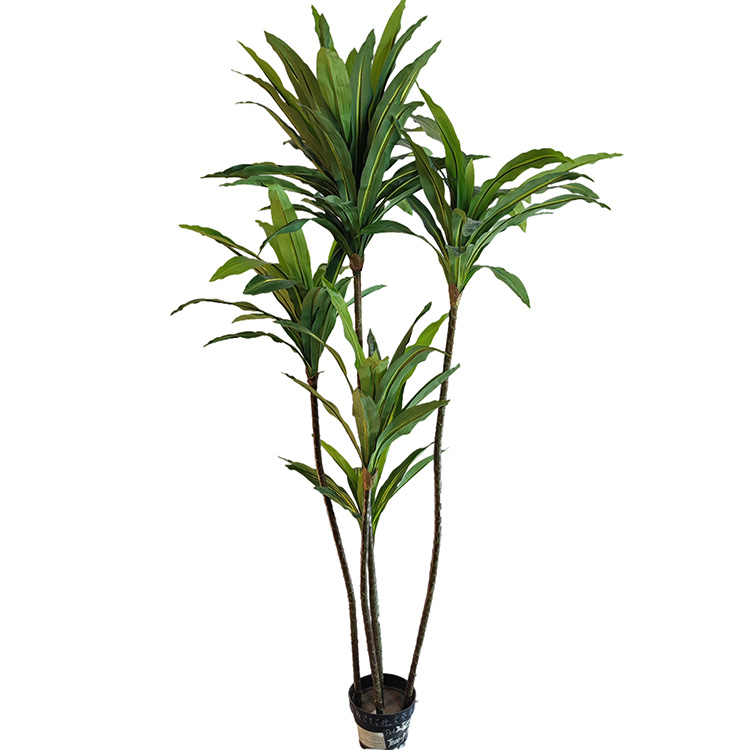 Thailand Hotel decoration indoor artificial Dracaena fragrans 