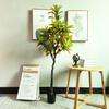 Australia Office Decoration Artificial Sprinkle The Golden Banyan 