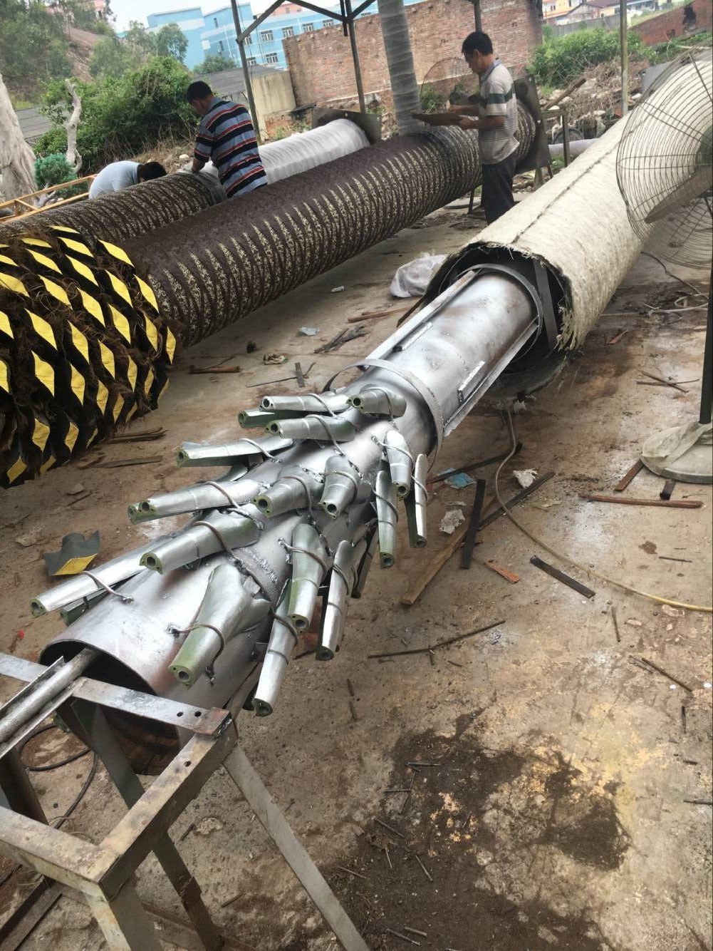 新海藻树内部结构1